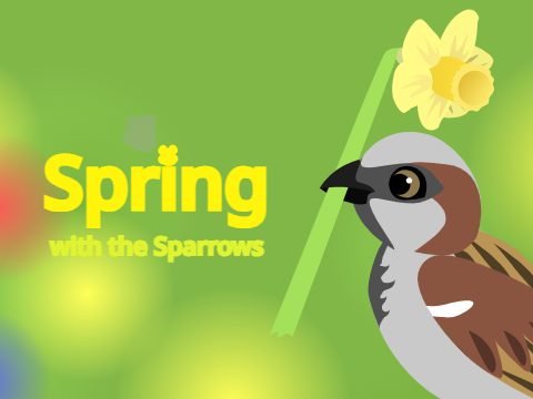 Spring with the Sparrows | Animation