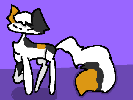 calico cat 