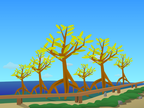 Mangrove