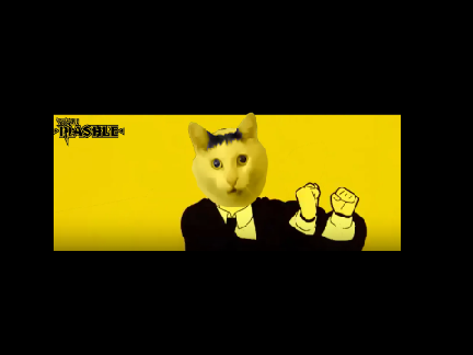 猫ミーム×BlingBangBangBorn