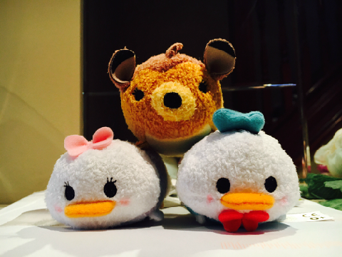 Photo Dump ^D^