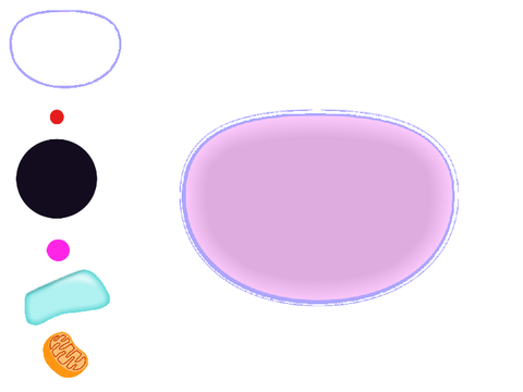 YCS - BL05 v1.2 - Interactive Cell Diagram