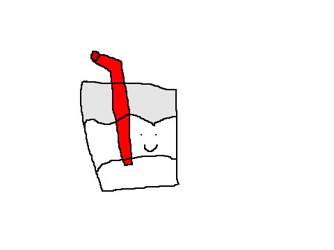 milk