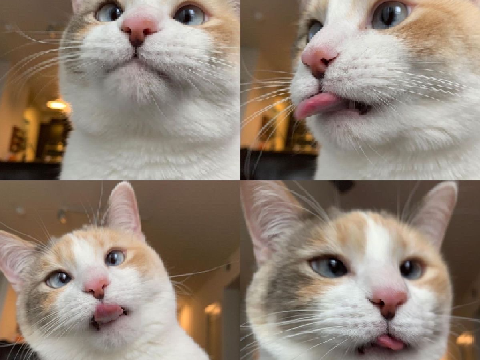reaction pics