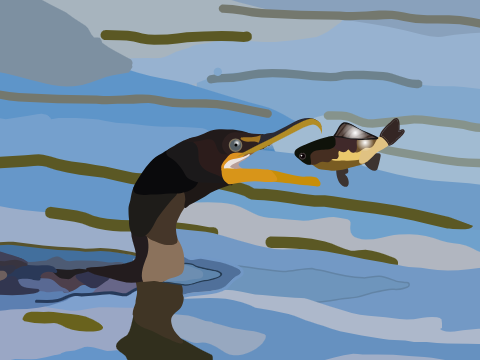 Double crested cormorant art