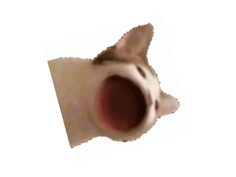 random post please ignore XD