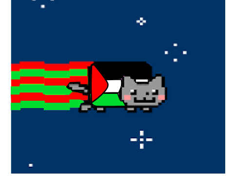 Palestine Cat