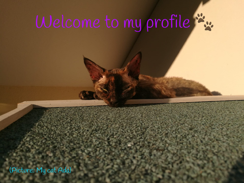 Welcome to my profile :D