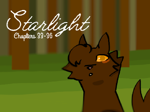 Starlight Chapter entry(33-36)