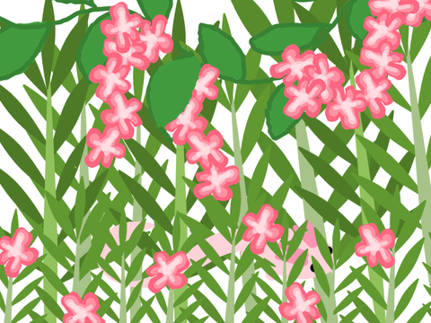 Axolotl with plants
