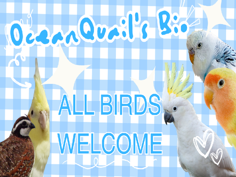 OceanQuail's Bio 