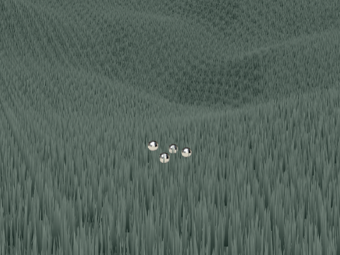 3D RACING OMG