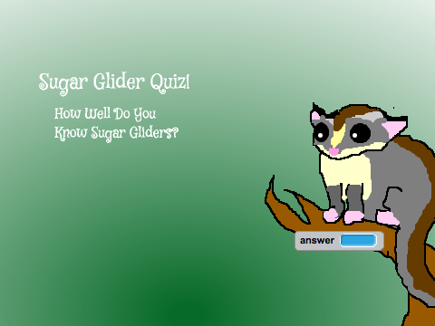 Sugar Glider Quiz