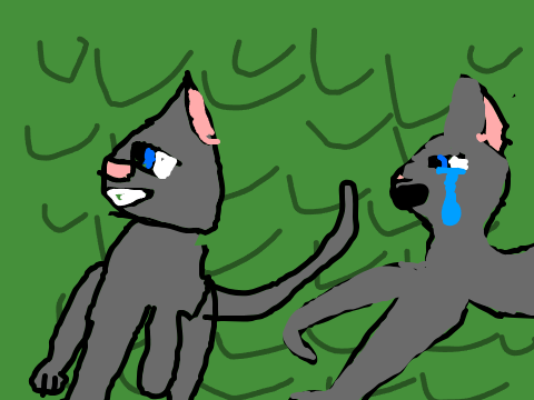 ~Scars to Your Beautiful~A Brightheart&Cloudtail MAP   part 6 remix-3