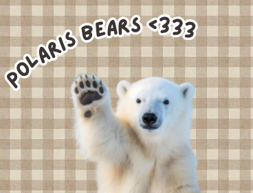 Polaris Bears