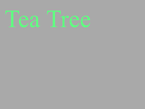 ❉ Tea Tree