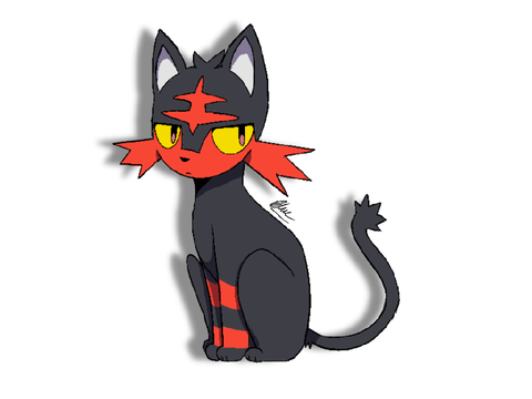 What in the Pokémon 