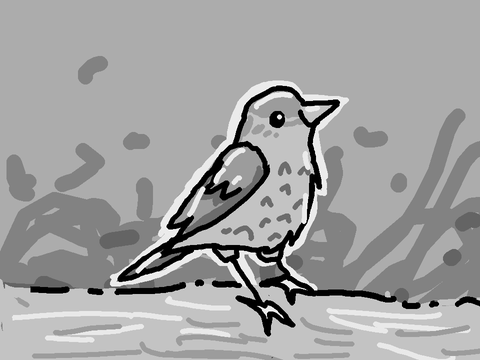 thrush