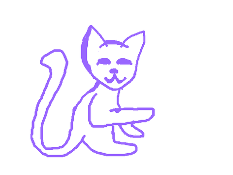 kotek-xd #cat