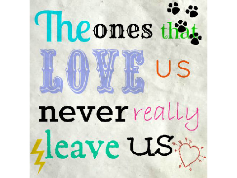 suirius black quote