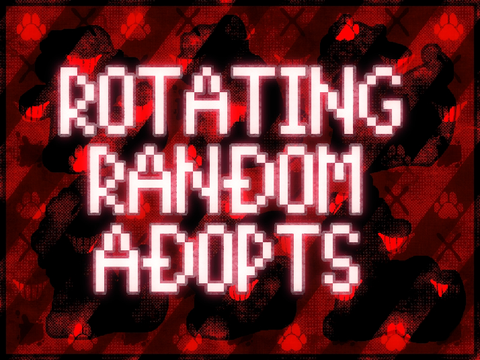 [Rotating Random Adopts]