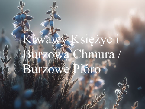 Krwawy Księżyc i Burzowa Chmura / Burzowe Pióro
