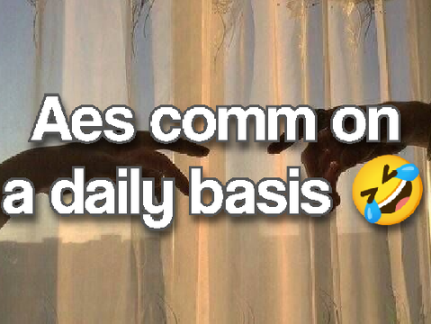 ꔫ aes comm on a daily basis  ₊˚   ♡