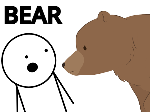 Bear