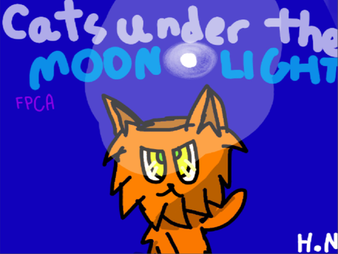 Cats Under the Moonlight,An FPCA