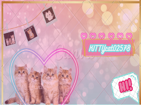 Banner for @KITTYcat02578