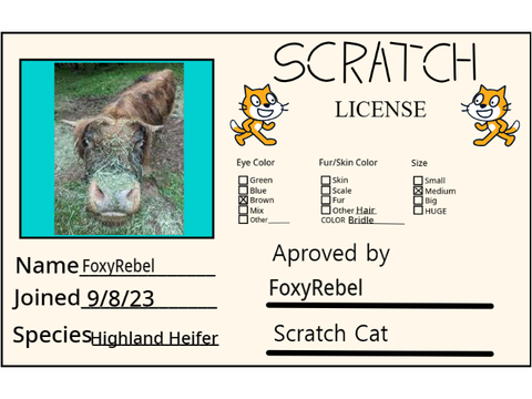 Make Your Own Scratch License remix