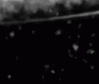 Project thumbnail