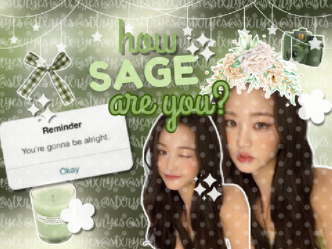₍ ᐢ.ˬ.ᐢ₎˚୨୧ - how SAGE are you?