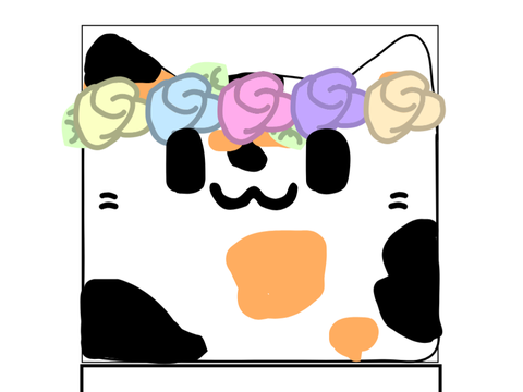₊˚ Be a part of our cat community! ₊˚  