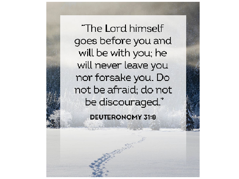 Deuteronomy 31:8