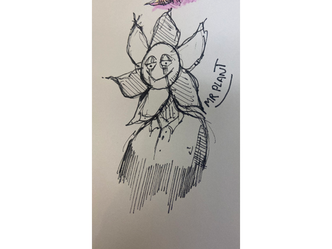 Mr Plant