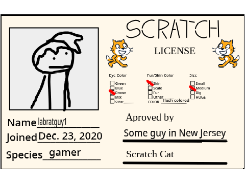 scratch license