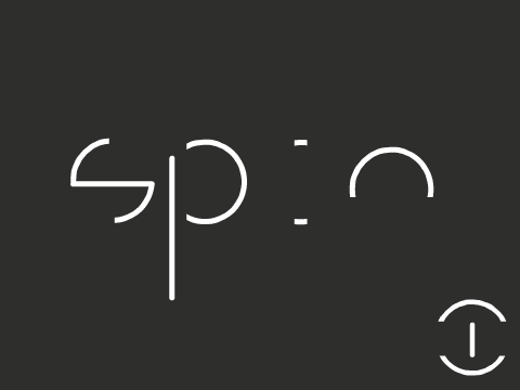 Spin