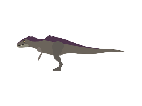 Giganotosaurus Vector (Better)