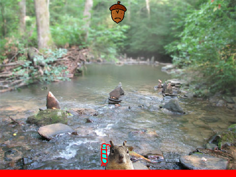Acorn VS Squirrel 2p
