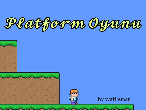 Platform Oyunu