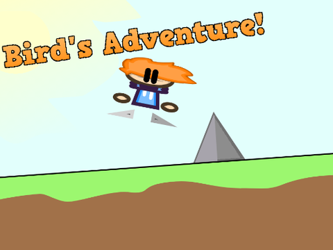 Bird goes on an Adventure
