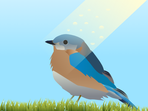 100 followers bird art contest (my entry)