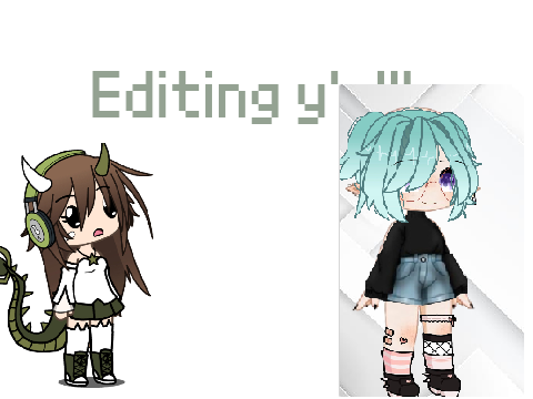 ☘︎ 19. Editing y’all’s oc .ᐟ~☘︎ remix