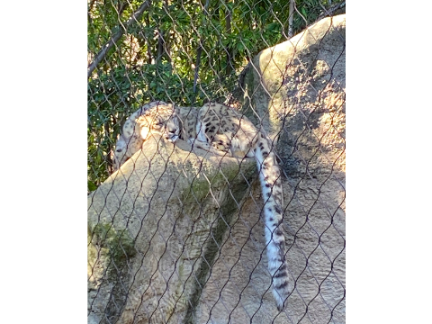 I WENT TO THE ZOOOOO!