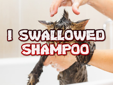 I swallowed Shampoo
