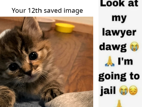 Your 12th saved image is ur lawyer  remix