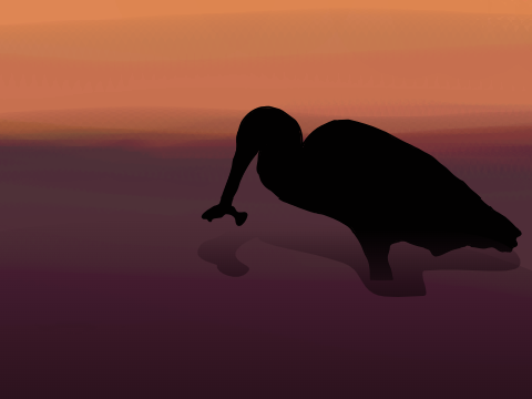 Reddish Egret Silhouette 