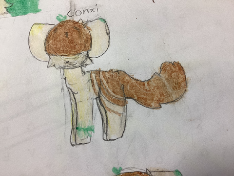 Conxi