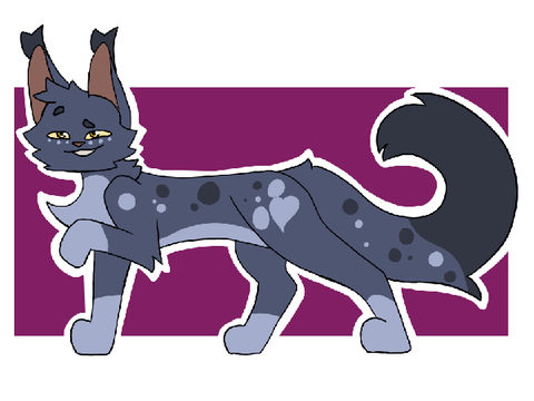 Contest Entry